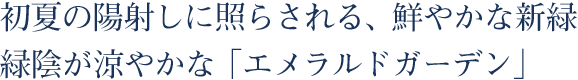 初夏の陽射しに照らされる、鮮やかな新緑。緑陰が涼やかな「エメラルドガーデン」。