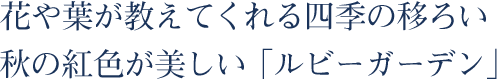 花や葉が教えてくれる四季の移ろい。秋の紅色が美しい「ルビーガーデン」。