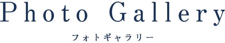 フォトギャラリー