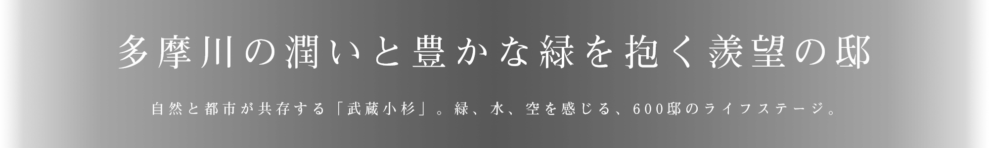 多摩川の潤いと豊かな緑を抱く羨望の邸。自然と都市が共存する「武蔵小杉」。緑、水、空を感じる、600邸のライフステージ。